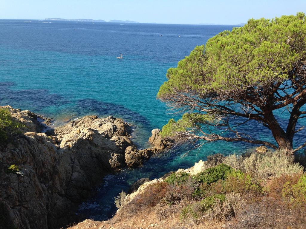 Les Ilets De L'Eau Blanche Lägenhet Cavalaire-sur-Mer Exteriör bild